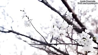 Hottest Sex Movie Big Ass Exclusive , Check It