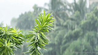 Incredible Adult Video Deep Throat Try To Watch For , Its Amazing