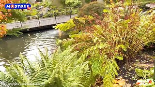 When A Fairy Tale Becomes Reality