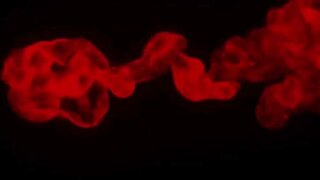 Excellent Adult Movie Deep Throat Fantastic , Check It