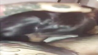 Lena The Plug Sloppy Blowjob Snapchat Video