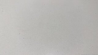 Lilylanes Fucked By Boyfriend Video Leaked